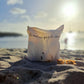 Le seul sac qui a la côte